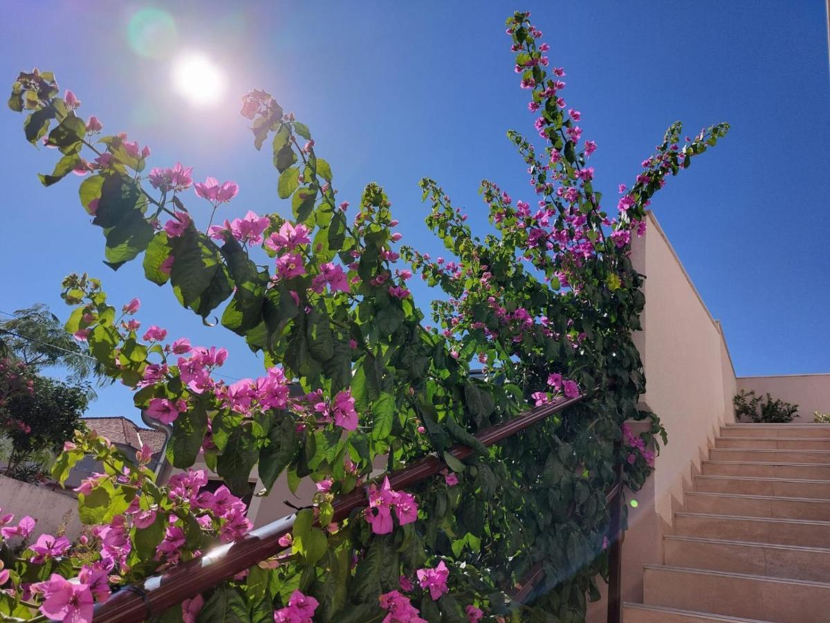 Apartments Lavanda - Free Parking And Grill Jezera Exterior photo